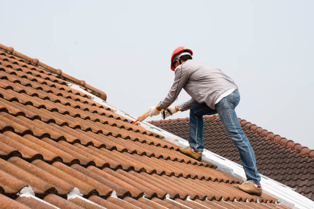 Best Metal Roofing Installation  in Green Valley, SD